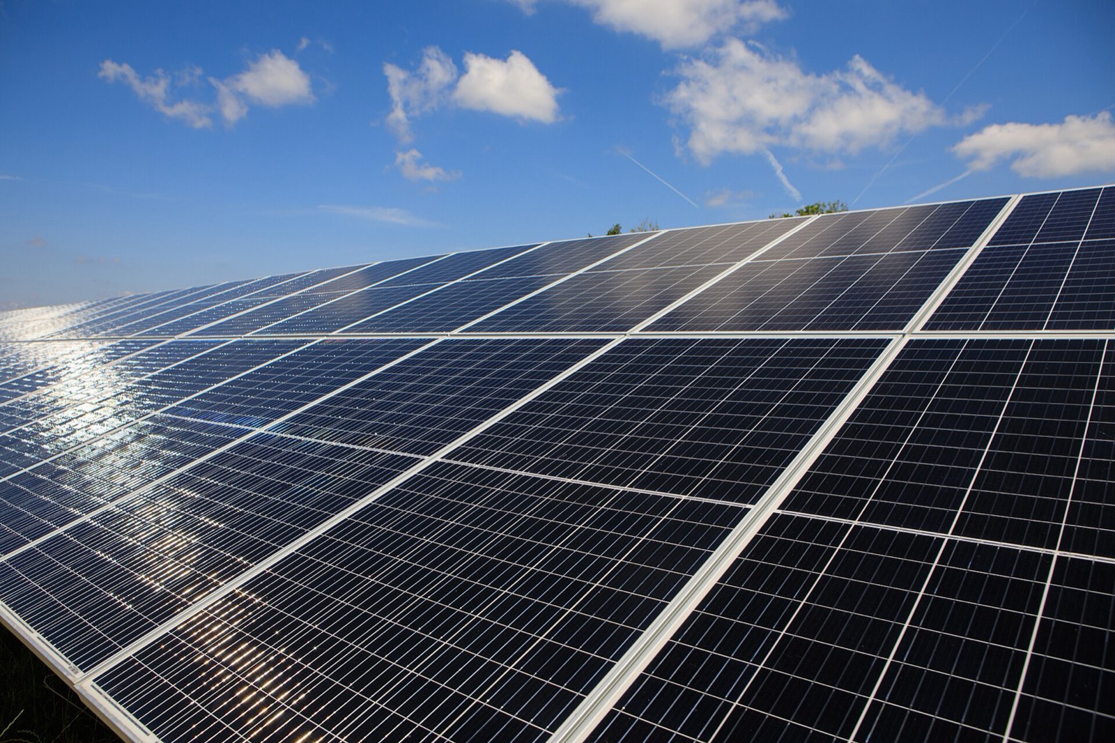 Paneles solares bajo un cielo despejado